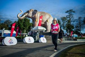 BIB: 
                            <button type="button" onclick="openModal(26541669)" class="btn btn-primary btn-sm float-right btn-popup" data-toggle="modal" data-target=".modal-high-quality">
                        <i class="fas fa-shopping-cart"></i> Add to Cart
                    </button>
                                            <button type="button" onclick="isThisMe(26541669, true)" class="btn btn-success btn-sm float-right btn-popup btn-isme hidden" data-toggle="tooltip" data-placement="bottom" title="นี่คือรูปของคุณใช่ไหม คลิกที่นี่เพื่อเอาเข้าอัลบั้ม">
                        <i class="fas fa-plus"></i> Add to album
                    </button>
                    <button type="button" onclick="isThisMe(26541669, false)" class="btn btn-warning btn-sm float-right btn-popup btn-isnotme hidden">
                        <i class="fas fa-ban"></i> Remove from album
                    </button>